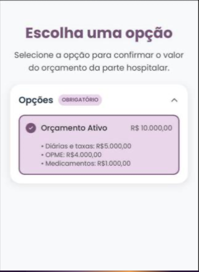 Tela de confirmação do valor do orçamento